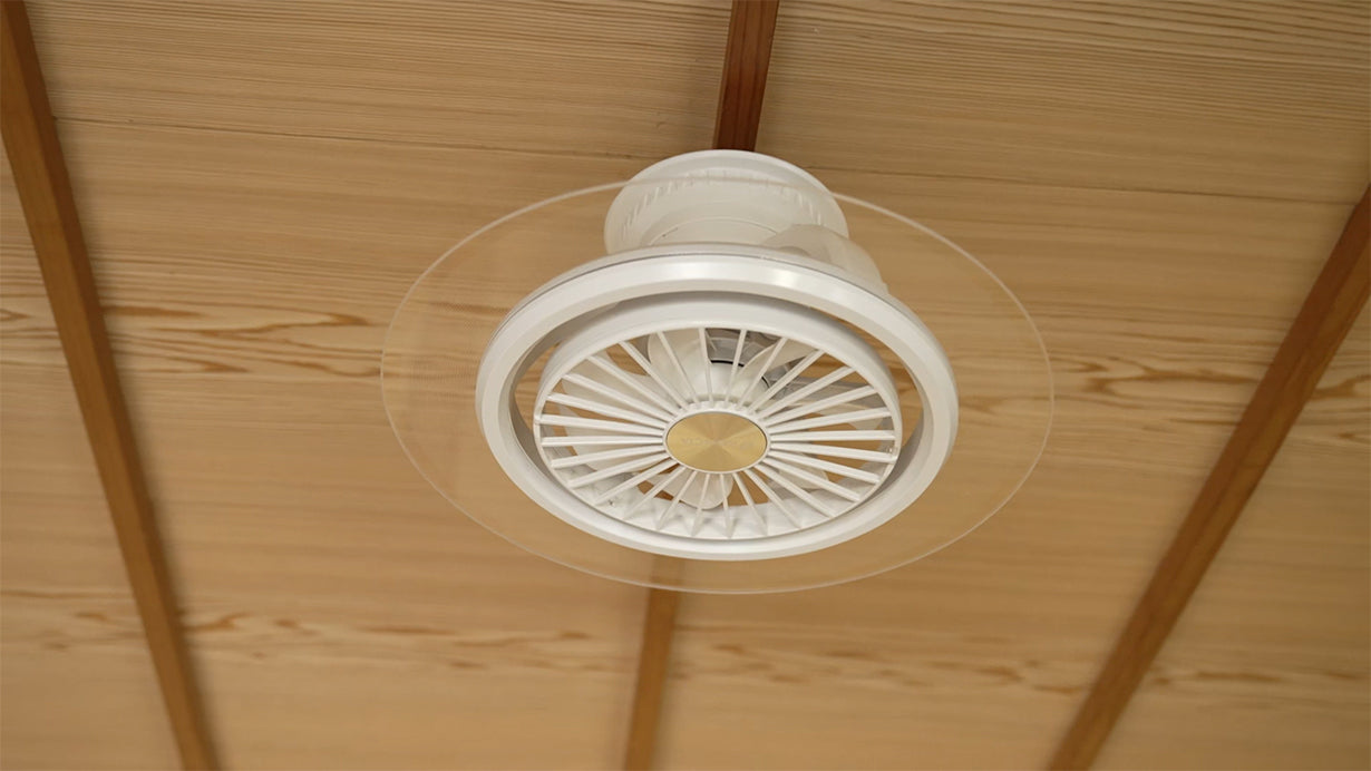 LumaFlow Ceiling Fan Light
